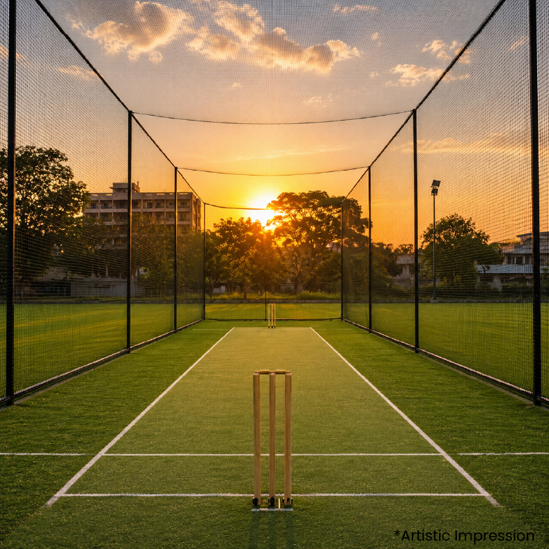 Box Cricket